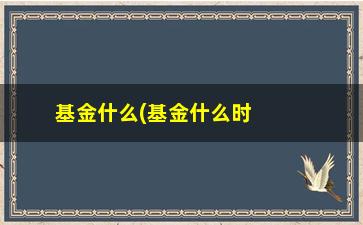 “基金什么(基金什么时候分红一次)”/