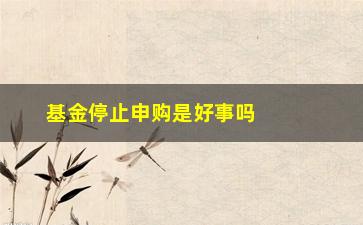 “基金停止申购是好事吗(基金停止申购是好事吗还是坏事)”/