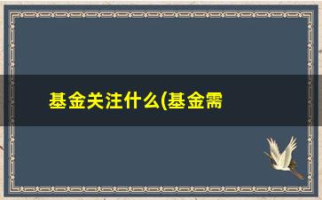 “基金关注什么(基金需要每天关注吗)”/