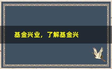 “基金兴业，了解基金兴业的品牌实力与投资理念”/