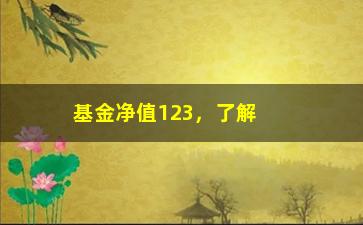 “基金净值123，了解基金净值的意义和计算方法”/