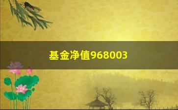 “基金净值968003(基金净值查询)”/