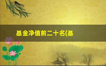 “基金净值前二十名(基金净值排名表)”/