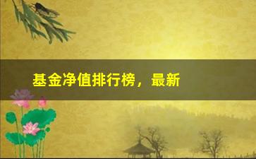 “基金净值排行榜，最新一周基金表现排名”/