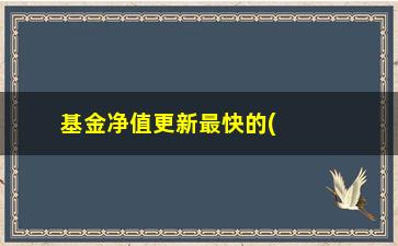 “基金净值更新最快的(000039基金净值)”/