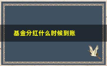 “基金分红什么时候到账(4800分红几天能到账户)”/