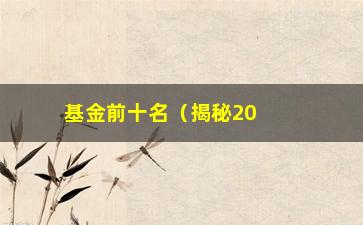 “基金前十名（揭秘2021年度基金排行榜）”/