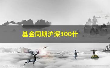 “基金同期沪深300什么意思(股指基金)”/