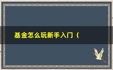 “基金怎么玩新手入门（初学者必知的基金投资技巧）”/