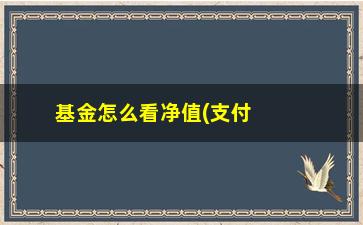 “基金怎么看净值(支付宝基金怎么看净值)”/