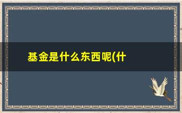 “基金是什么东西呢(什么是基金啊)”/