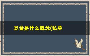 “基金是什么概念(私募基金是什么概念)”/