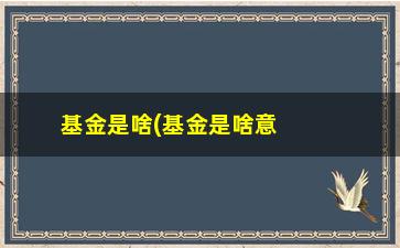 “基金是啥(基金是啥意思)”/