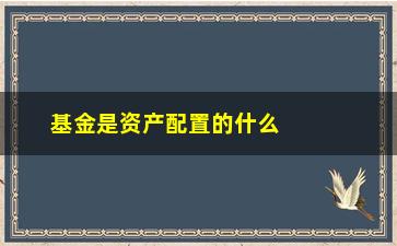 “基金是资产配置的什么(什么是资产配置”/