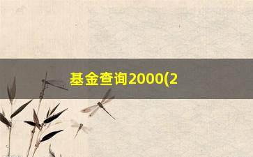 “基金查询2000(2000基金)”/