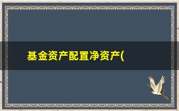 “基金资产配置净资产(基金在资产配置中的作用)”/