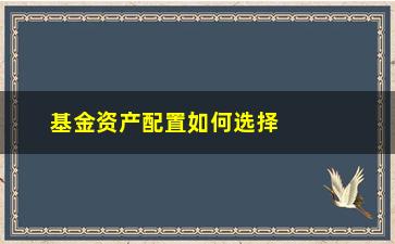 “基金资产配置如何选择(资产基金是什么科目)”/