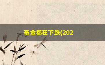 “基金都在下跌(2023基金为什么连续下跌呢)”/