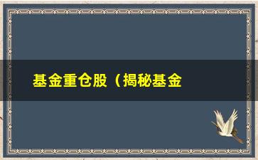 “基金重仓股（揭秘基金公司最看好的股票投资）”/