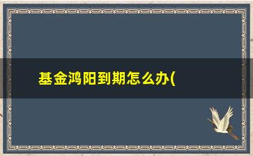 “基金鸿阳到期怎么办(基金鸿飞封转开后怎么赎回)”/