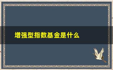 “增强型指数基金是什么意思(什么叫增强型)”/