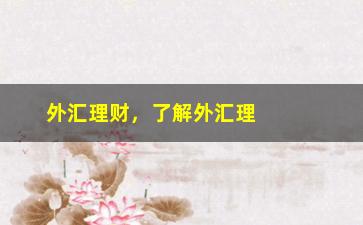 “外汇理财，了解外汇理财的基本知识和操作技巧”/