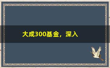 “大成300基金，深入解析大成300基金的投资策略和表现”/