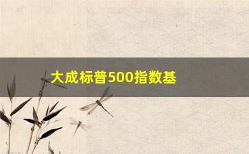 “大成标普500指数基金(标普500指数基金代码)”/