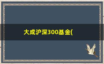 “大成沪深300基金(大成沪深300指数基金)”/