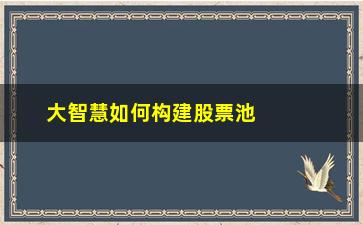 “大智慧如何构建股票池(大智慧股票软件下载安装)”/