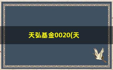 “天弘基金0020(天弘互联网混合)”/