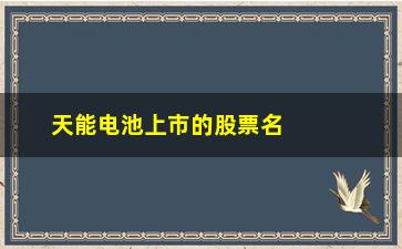 “天能电池上市的股票名是什么(天能电池有上市股票吗)”/