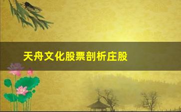 “天舟文化股票剖析庄股的明显特征有哪些”/