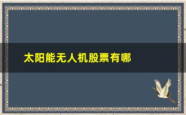 “太阳能无人机股票有哪些(无人机驾驶股票有哪些)”/