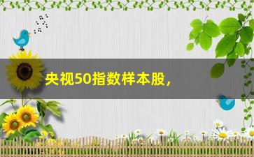 “央视50指数样本股，了解央视50指数样本股的投资价值”/