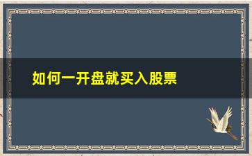 “如何一开盘就买入股票(股票一开盘就涨停如何买入)”/