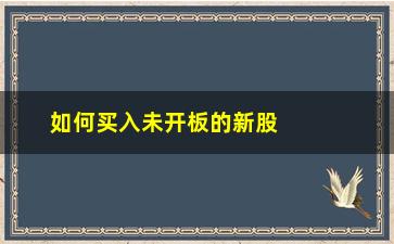 “如何买入未开板的新股(新股开板可以买入吗)”/