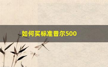 “如何买标准普尔500指数股票(标准普尔500指数和道琼斯指数)”/