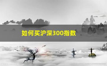 “如何买沪深300指数基金(期货沪深300指数怎么买)”/