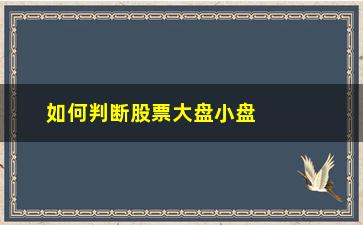 “如何判断股票大盘小盘(怎么判断股票是大盘还是小盘)”/