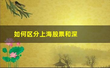 “如何区分上海股票和深圳股票(创业板股票是深圳还是上海怎么区分)”/