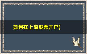 “如何在上海股票开户(股票开户上海深圳都开还是开一个)”/