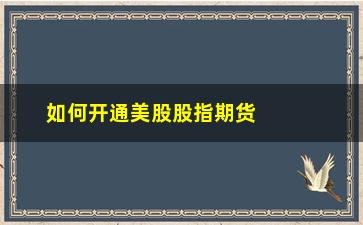 “如何开通美股股指期货(美股股指期货开通条件)”/