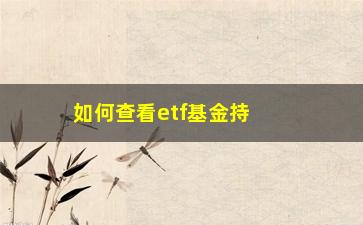 “如何查看etf基金持仓股票(etf基金持仓股票数量变化)”/