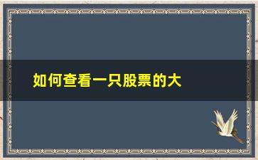 “如何查看一只股票的大股东(如何查看一只股票的发行价)”/