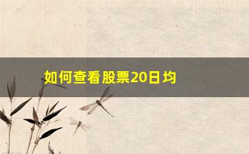 “如何查看股票20日均线(如何查看自己股票佣金)”/