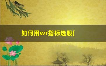 “如何用wr指标选股(wr指标天衣无缝选股公式)”/