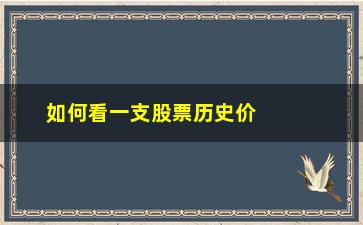 “如何看一支股票历史价(怎么查一只股票历史价格)”/