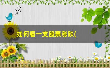 “如何看一支股票涨跌(一支股票的涨跌是根据什么来的)”/