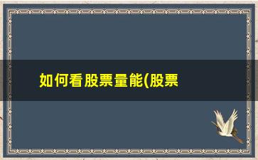 “如何看股票量能(股票量能在哪看)”/